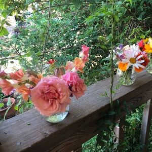 Meet your Posher, Sydney